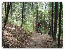 Rebel Ridge Trail
