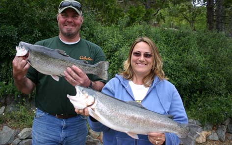 Trophy Trout