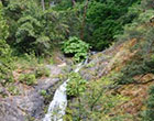 Bullards Bar Trailhead